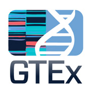 gtex